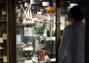 A woman looking at artefacts in a museum display case