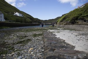 A view of a harbour and surrounding cliffs